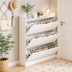 Shoe Cabinet