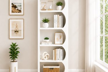 Modern Curved Display Bookshelf