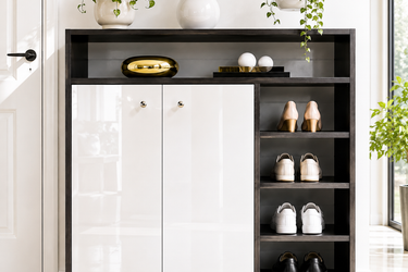 Modern Multi-Compartment Shoe Storage Cabinet