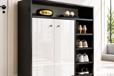 Modern Multi-Compartment Shoe Storage Cabinet