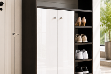 Modern Multi-Compartment Shoe Storage Cabinet